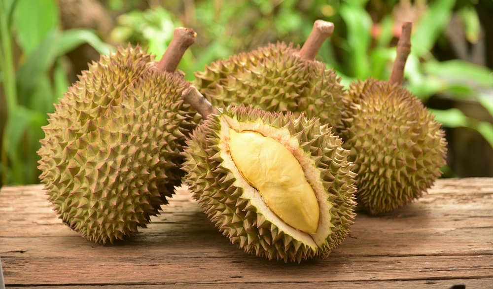 Tout savoir sur le durian, fruit défendu des Asiatiques